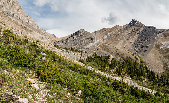 Looking back along the lower (correct) trail leading to Hector Pass. The trail skirts above the dark cliff band in the distance just left of center.