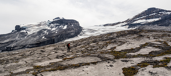 A world of Karst Pavement and glaciers as we trudge back up to Hector Pass. Hector Glacier at left is retreating fast.