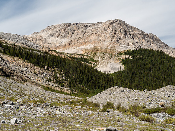 Our ascent route goes up the obvious terrain at center, curving left at treeline towards Hector Pass which is out of sight at upper left.
