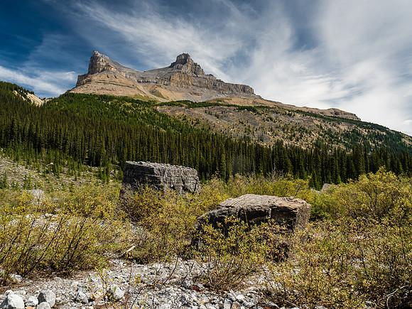 Back at Molar Creek looking way up at our objective. Now we have to turn our attention way up in the other direction.