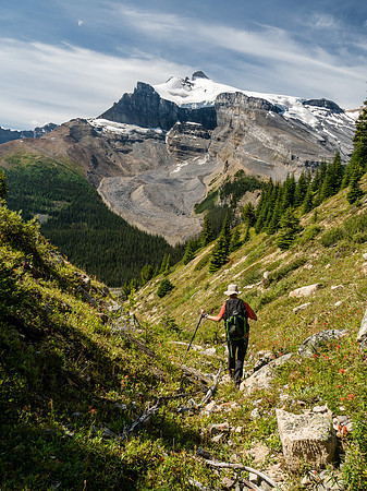 Enjoying a blissful meadowy hike down to Molar Creek.