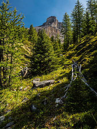 There was a feeling of fall in the air already. This is from the descent drainage looking back.