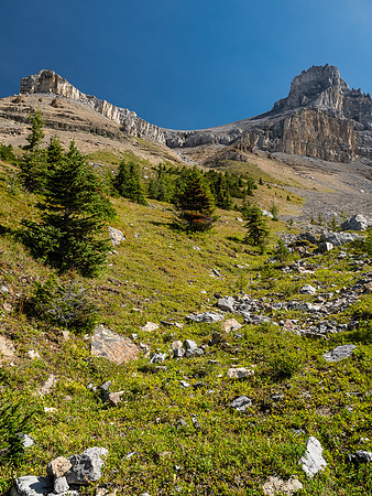 Back in the land of green and rapidly descending to Molar Creek.