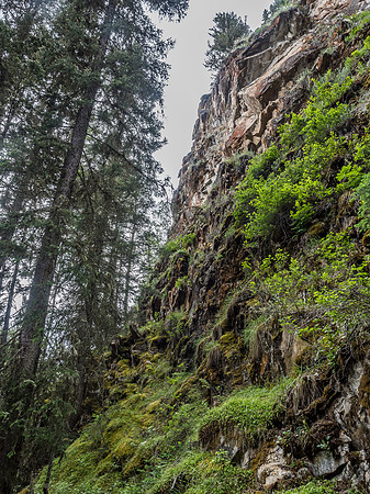 Feels more like a BC hike than an Alberta one.
