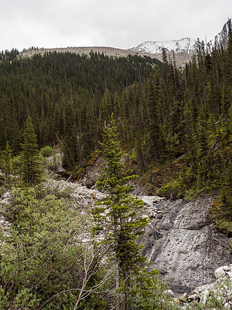 Another view from Ranger Creek of the NW ridge at upper left and false summit at upper right.