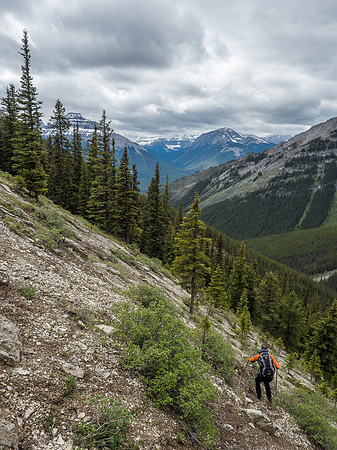 Descending very steep slopes off the lower NW ridge back to Ranger Creek. Shortly after this open slope we were in pretty thick trees to Ranger Creek.