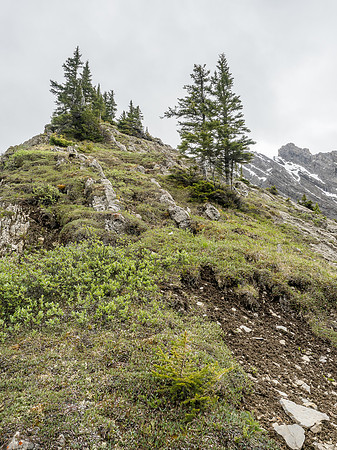 Looking up the NW ridge from near treeline.