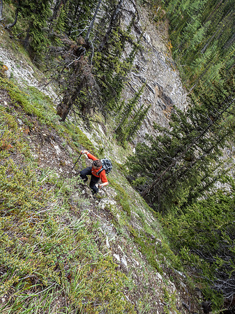 The side hill slopes leading up to the NW ridge proper were extremely steep and wet grass didn't help with the feeling that a slip would be unpleasant.
