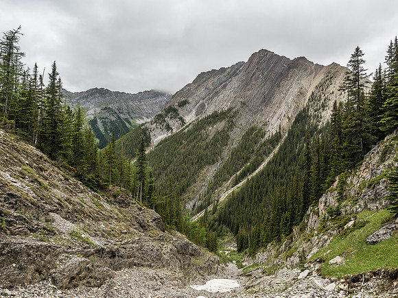 At least we're now gaining height above the creek, looking back at the unnamed summit between Cockscomb and Ishbel. "Cockish Peak"?