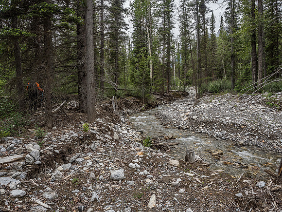 Phil leads the way along Ranger Creek.