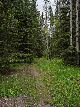Oh look! A trail from the parking lot. Oh wait! It only goes about 100m before vanishing.