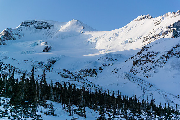 Athabasca from the snow coach road - it looks so close! It's not. From here you can see the approach for the north face routes