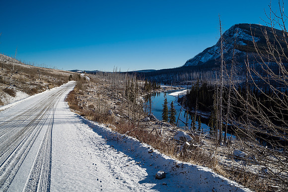 The road to Ya Ha Tinda is in pretty good shape.
