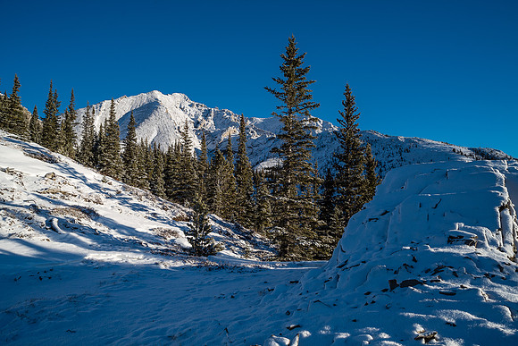 Interesting terrain on the ridge.