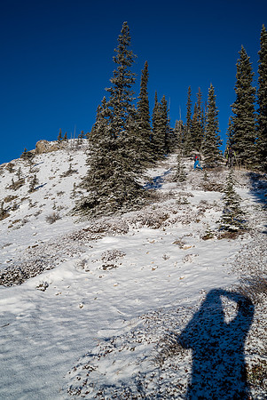 Following the ridge to tree line.