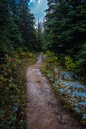 The trail goes back into trees before getting to the Berg Lake campground. Note the fresh snow!