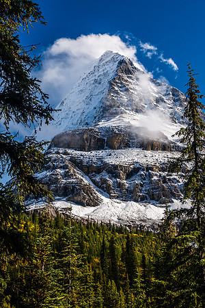 The mighty Emperor Ridge rises out of sight above the trail.