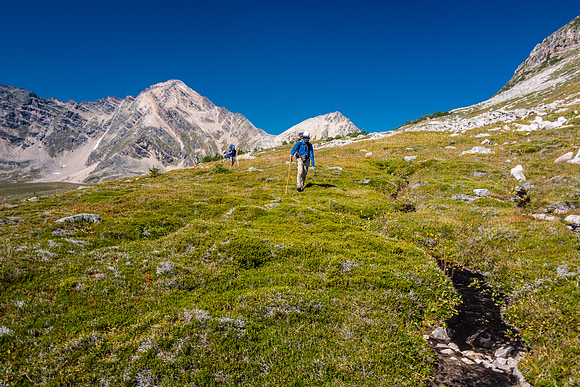 Back on grassy meadows at the Fortress Creek headwaters.