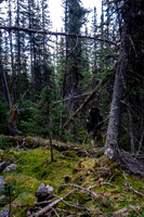The bushwhack out to Fortress Lake.