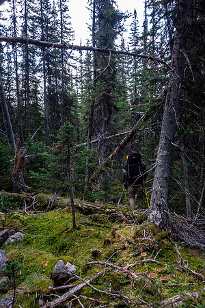 The bushwhack out to Fortress Lake.