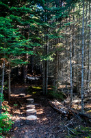 The trail has been recently maintained on this end (by the lodge?)