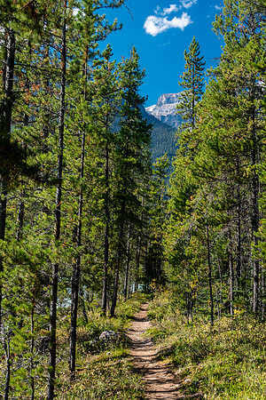 The trail is excellent from here back to the highway.