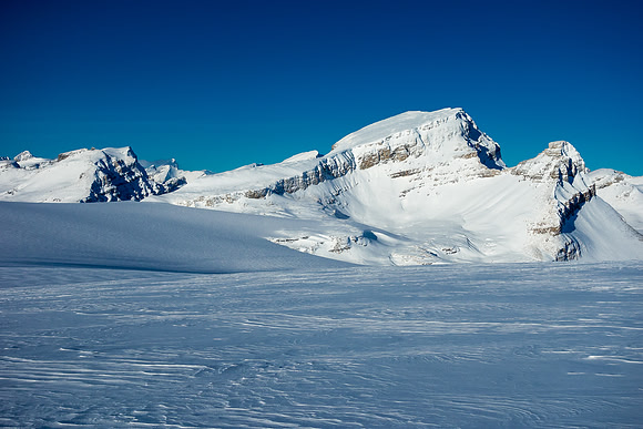 Mount Thompson is a SLOG but it's a pretty peak nonetheless! Peyto Peak on the left is much harder and Portal Peak on the right is also not a trivial climb.