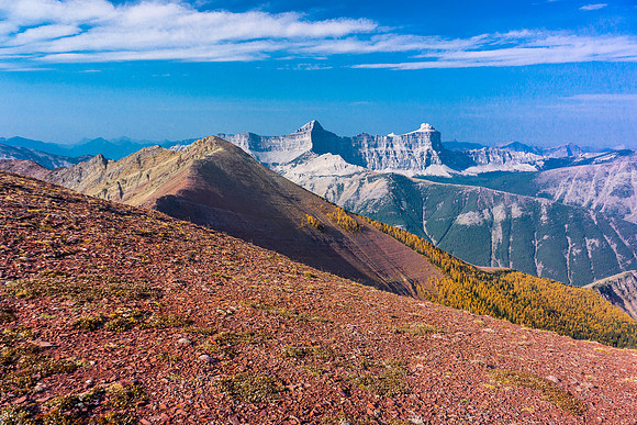 The pink and gold colors blew me away - this is an amazing landscape!