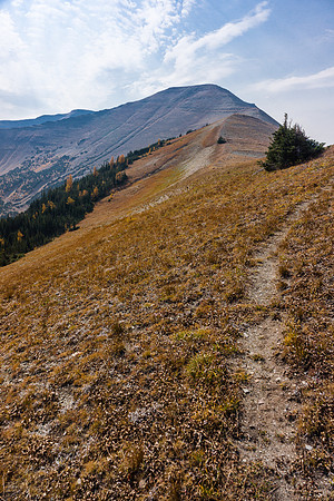 Following the good trail up to the false summit of Victoria Ridge. At this point I'm kind of tired of the whole traverse thing.