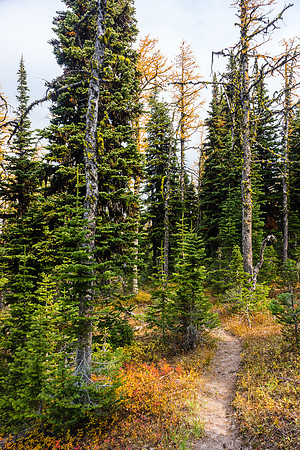A good trail back down to Pincher Creek helped me enjoy this exit immensely - not usually how a long day like this ends!