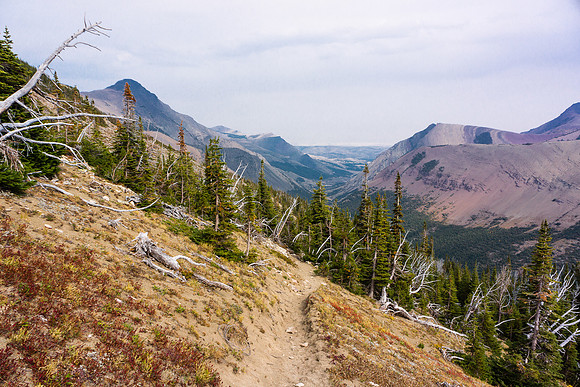 The trail stays as much above tree line as possible.