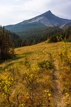 The trail continues to make excellent use of open areas, where possible.