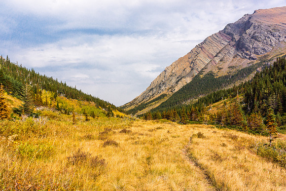 In the lower valley and hiking out of the Pincher Creek drainage.