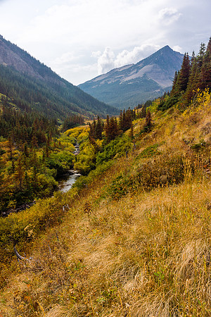 Looking back up Pincher Creek as I reach the lower meadows.