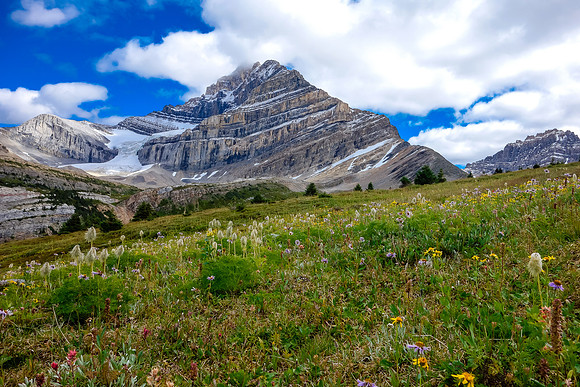 Amazing views confronted us as we hit the alpine meadows beyond the fifth lake.