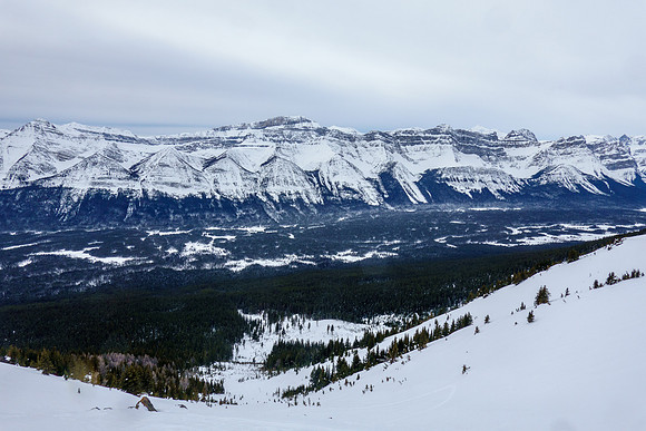 Views down the south gully to the pulpit knobs.