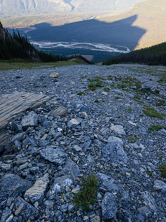 Gazing down the gully - we haven't even passed tree line yet...