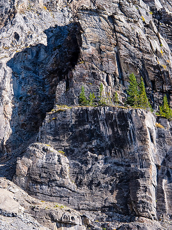 I love these trees on the cliffs - they are determined to survive.