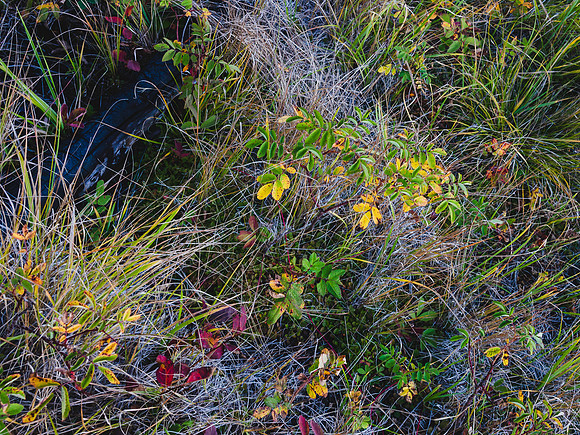 Flora near the end of our long day.