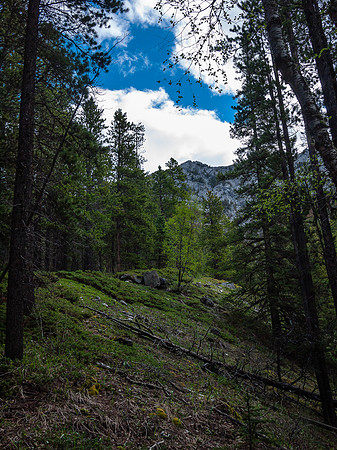 Pleasant hiking towards the ridge.