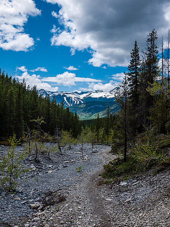 Following the Baldy Pass trail back to highway 40.