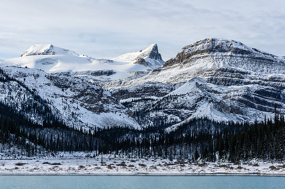 Looking across the flats that skiers use to approach the Wapta in winter. The Onion, St. Nicholas and Olive from R to L above.