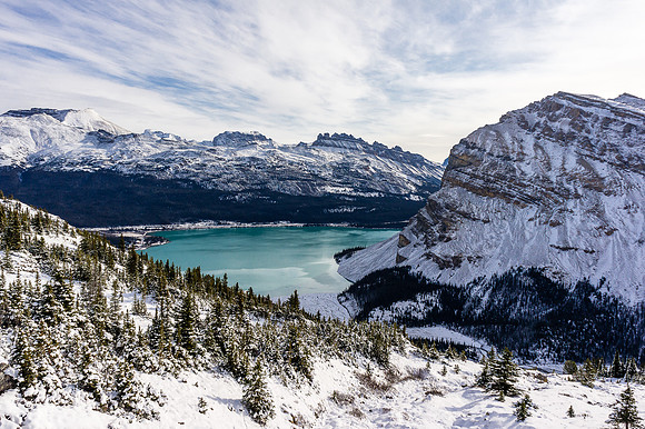 Gorgeous views back over Bow Lake towards Dolomite Peak.