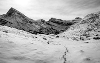 Looking back at my tracks.