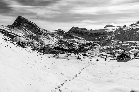 Still on my ascent track, here I went left. Big Mistake!!
