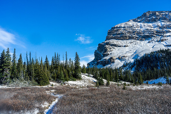 Hiking out to the Bow Glacier Falls trail.