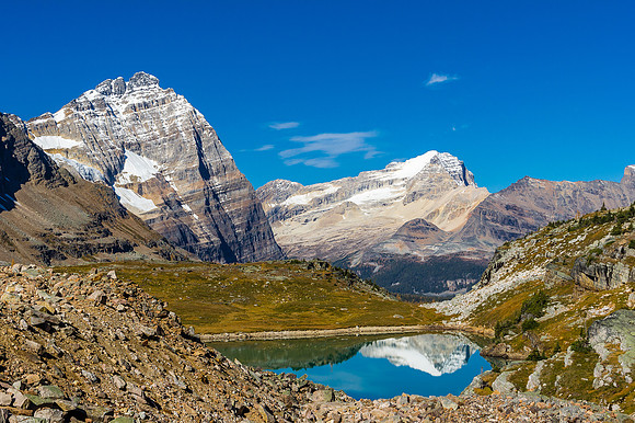Opabin Lake reflects Mount Stephen with Odaray on the left.