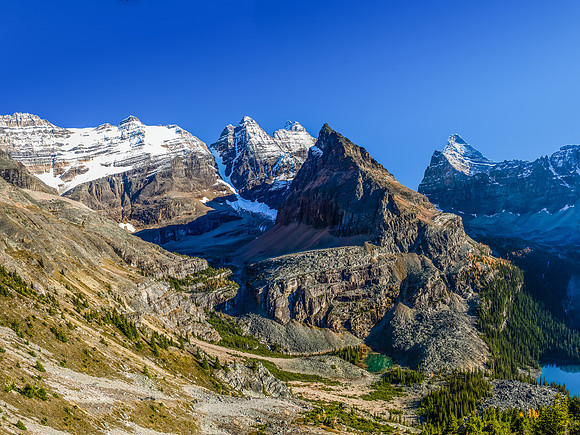 The trail down from the col to Lake O'Hara is obvious.
