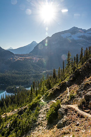 The trail down from the col to Lake O'Hara is obvious.
