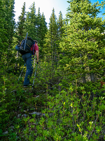 Starting up on climber's left of the outlet stream. The more left you go, the easier the bushwhacking.